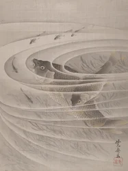 Poissons dans un tourbillon