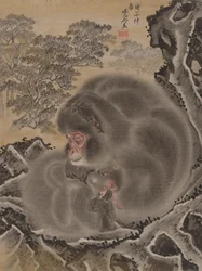 Singes, mars 1888