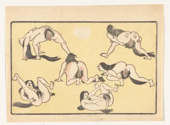 Femmes nues La grande queue (titre de la série)