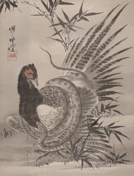 Faisan attrapé par un serpent