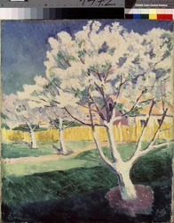 Paysage d