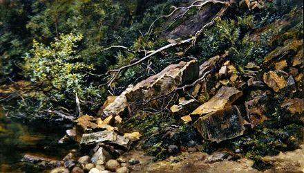 Une rive rocheuse
