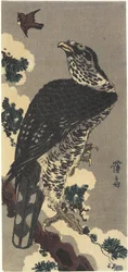 Aigle et moineau