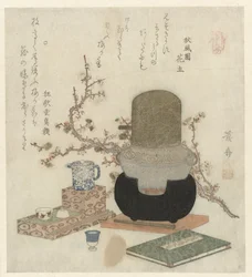 Préparation de saké de prune