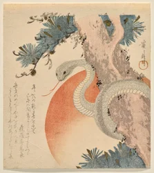 Serpent enroulé autour d