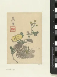 Sauterelle et fleurs