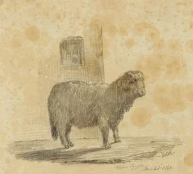 Moutons