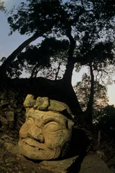 Dieu N, arbre Ceiba, temple, Maya, Copan, Honduras, période classique