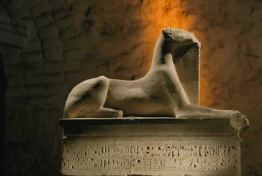 Statue en calcaire du dieu chacal Anubis accroupi sur une base en forme de sarcophage, 2002 (photo)