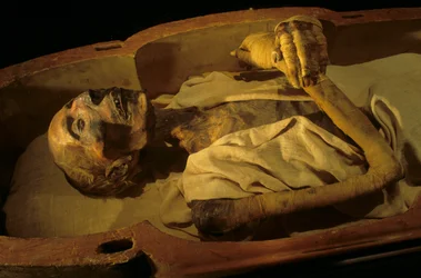 Momie de Ramsès II