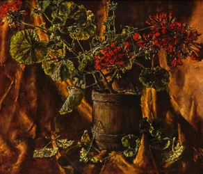 Nature morte avec bégonias