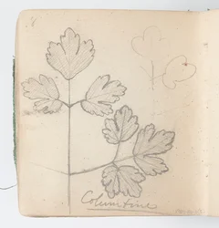 Page de carnet de croquis : Colombine