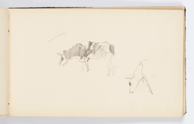 Page de carnet de croquis : Vaches broutant