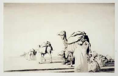 Fret du désert
