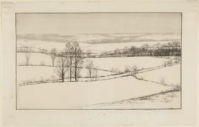 Champs de neige