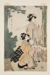 Jouer au Hanetsuki au Nouvel An