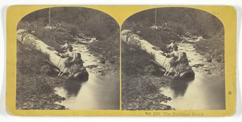 Le ruisseau babillant. Créateurs : Kilburn Brothers, BW Kilburn