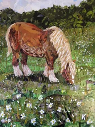 Cheval sur une colline