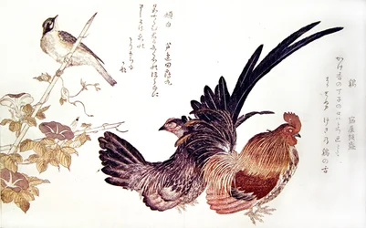Une poule domestique, un coq et un bruant du Japon sur une pousse de bambou, vers 1791