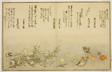 Beni-gai, hora-gai, urauzu-gai, wasure-gai, chiyonohana-gai, et masuho-gai, du livre illustré "Cadeaux de la marée descendante"