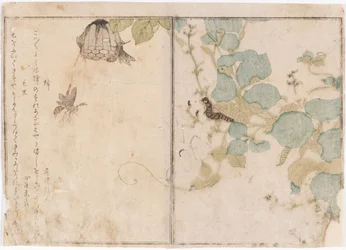 Chenille et abeilles