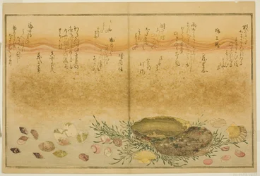 Chidori-gai, itaya-gai, awabi, utsuse-gai, asari-gai, et monoara-gai, du livre illustré "Cadeaux de la marée basse (Shiohi no tsuto)"