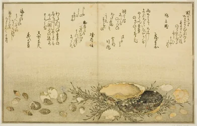 Chidori-gai, itaya-gai, awabi, utsuse-gai, asari-gai, et monoara-gai, du livre illustré "Cadeaux de la marée descendante (Shiohi no tsuto)"