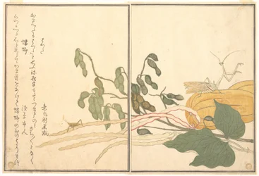 Sauterelle à tête conique ou criquet (batta) ; mante religieuse (Tōrō ou Kamakiri), du Livre illustré des créatures rampantes (Ehon mushi erami)