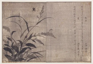 Criquet et lucioles, 1788