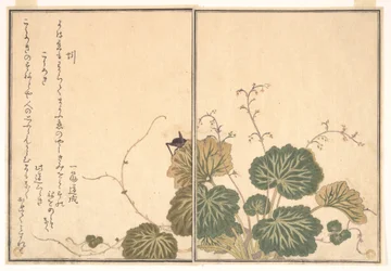 Ver de terre (Mimizu) ; grillon (Kōrogi), du Livre illustré des créatures rampantes (Ehon mushi erami)
