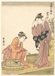 Bouscarle du Japon