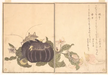Escargot terrestre (Katatsumuri) ; grande sauterelle katydide (Kutsuwamushi), du livre illustré des créatures rampantes (Ehon mushi erami)
