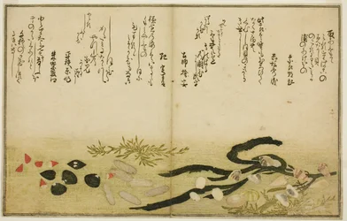 Minashi-gai, shio-gai, katatsu-gai, miso-gai, chijimi-gai, et chigusa-gai, du livre illustré "Cadeaux de la marée descendante (Shiohi no tsuto)"