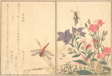 Libellule rouge Akatonbo, sauterelle Inago..., 1788