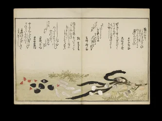 Shiohi no tsuto (Cadeaux de la marée descendante), connu sous le nom de Livre des coquillages, 1789