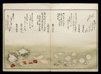 Shiohi no tsuto (Cadeaux de la marée descendante), connu sous le nom de Livre des coquillages, 1789