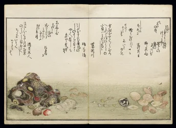 Shiohi no tsuto (Cadeaux de la marée descendante), connu sous le nom de Livre des coquillages, 1789