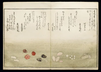 Shiohi no tsuto (Cadeaux de la marée descendante), connu sous le nom de Livre des coquillages, 1789