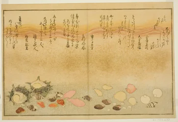 Shiro-gai, namima-gashiwa, makura-gai, iro-gai, aza-gai, sadae-gai, du livre illustré "Cadeaux de la Marée Basse (Shiohi no tsuto)"