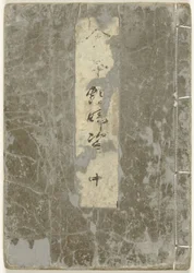 Album Shunga. Livre d