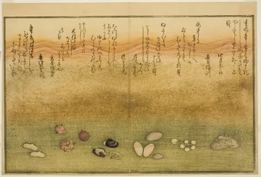 Sudare-gai, hana-gai, sakura-gai, mumeno-gai, nadeshiko-gai, et kinuta-gai, du livre illustré "Cadeaux de la marée descendante"