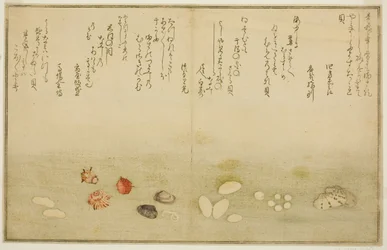 Sudare-gai, hana-gai, sakura-gai, mumeno-gai, nadeshiko-gai, et kinuta-gai, du livre illustré "Cadeaux de la marée descendante (Shiohi no tsuto)"