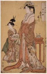 Takigawa de l