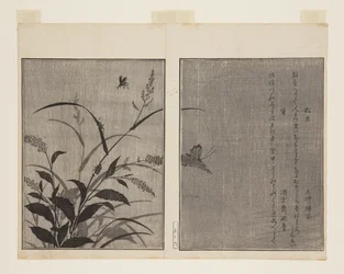 Grillon des arbres (Matsumushi) et luciole (Hotaru)