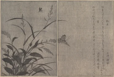 Grillon des arbres Matsumushi, Luciole Hotaru..., 1788