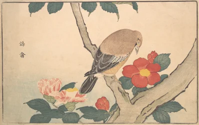 Camélias avec un oiseau, 1789