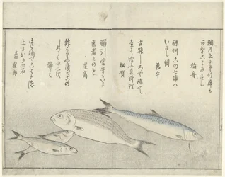 Quatre poissons