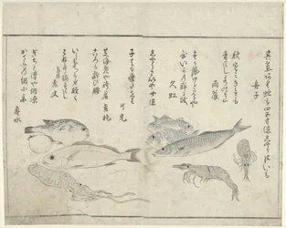 Animaux marins