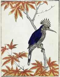 Oiseau sur un arbre. Dessin japonais par Kitao Kosuisai