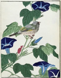 Oiseau sur un arbre. Dessin japonais par Kitao Kosuisai